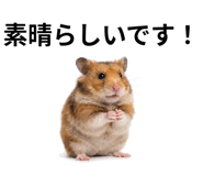 839142896