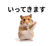839142898