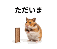 839142899