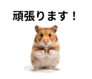 839142902