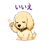 839143217