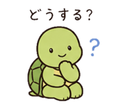 839143906