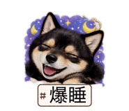 839144037