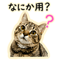 839144110