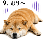 839144617