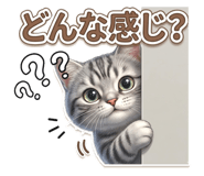 839145097