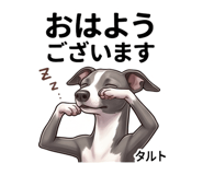 839147081