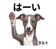 839147089
