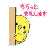 839147224