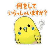 839147234