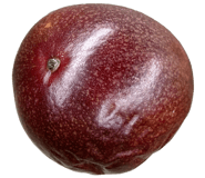 839147798