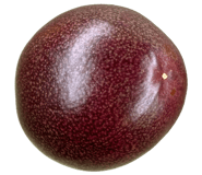 839147799
