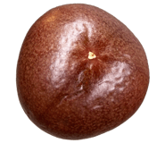 839147801