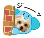 839148166