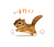 839148176