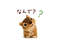 839148177