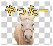 839148335