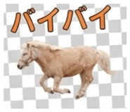839148337