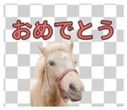 839148339