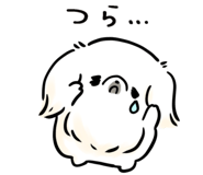 839148646