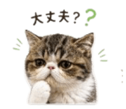 839148678
