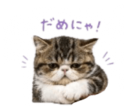 839148684