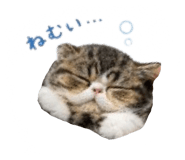 839148685