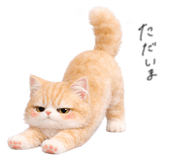 839149498