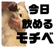 839149568
