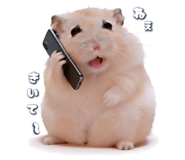 839149604