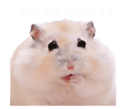 839149629