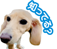 839149857