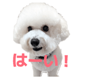 839149928