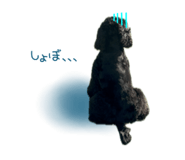 839149979
