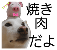 839150116