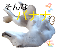 839150119