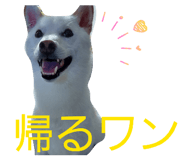 839150123