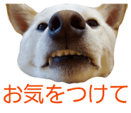 839150125
