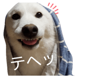 839150127