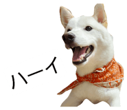 839150128