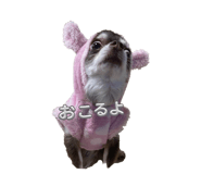 839150174
