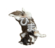 839150175
