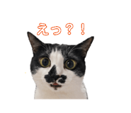 839150298