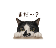 839150303