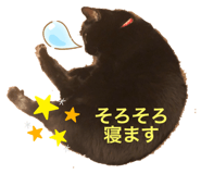 839150537