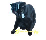 839150542