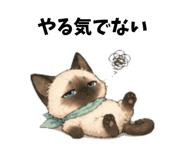 839150725