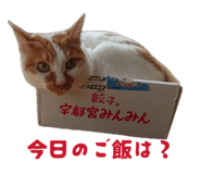 839150863