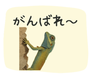 839150956