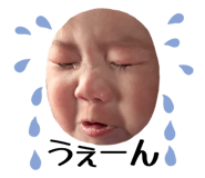839151085